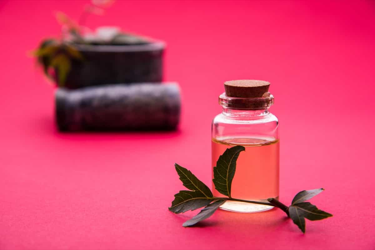 How to Use Neem Oil on Bougainvillea