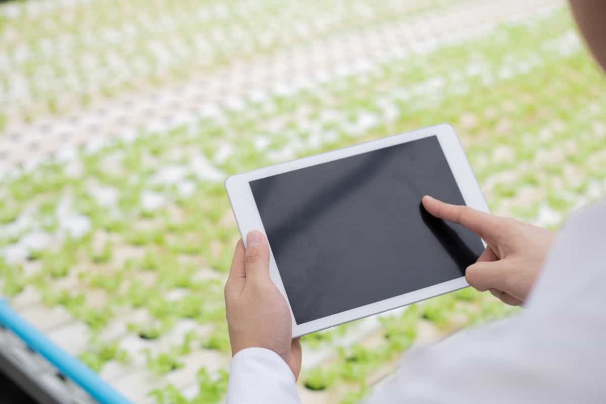 Use of technology to check quality of the vegetables in a farm