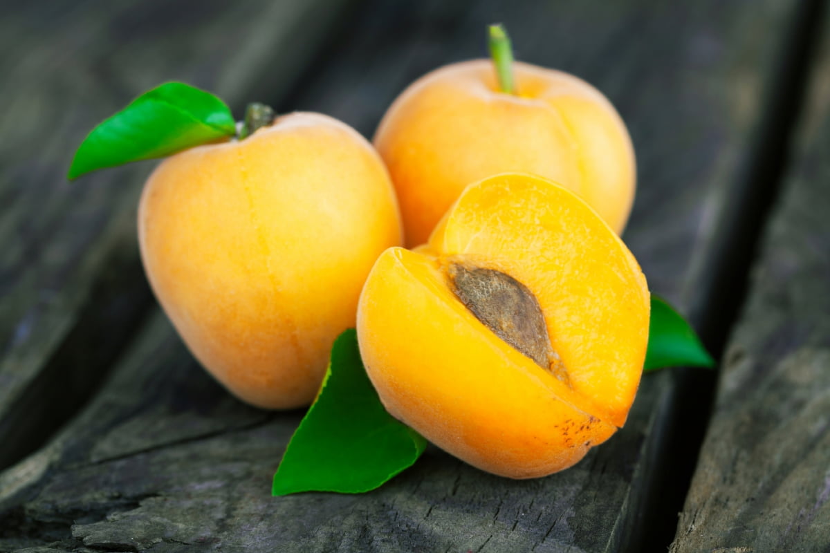 Apricots with Leaves