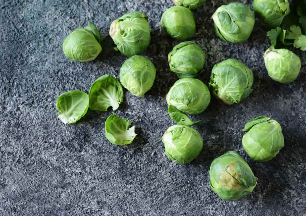 Organic Brussels Sprouts Cultivation