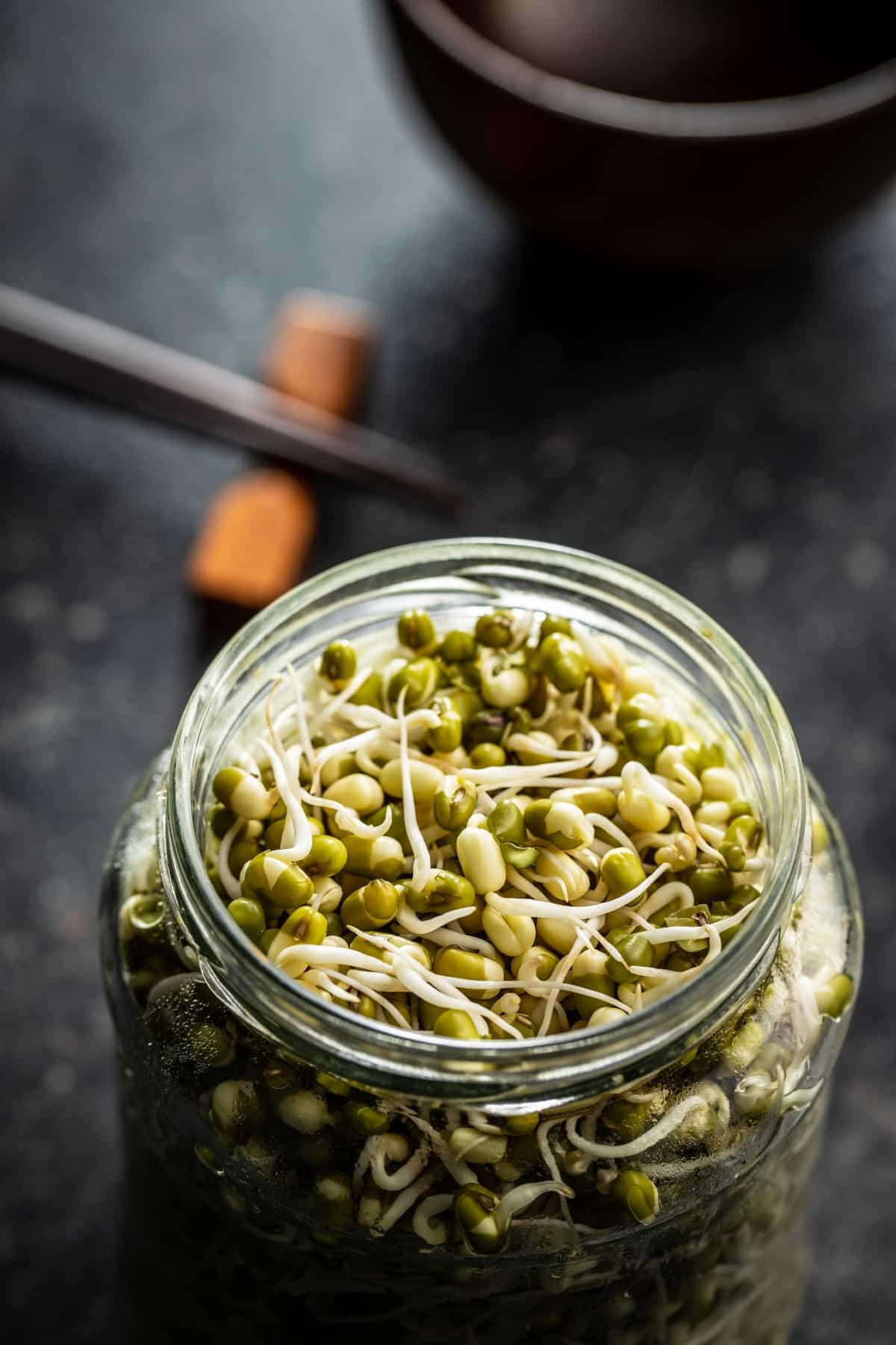 Mung Sprouts in Jar