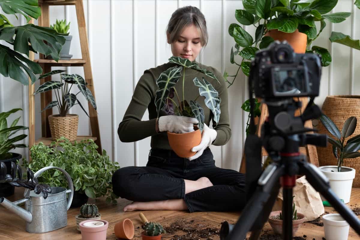 Plant blogger filming a video of planting 
