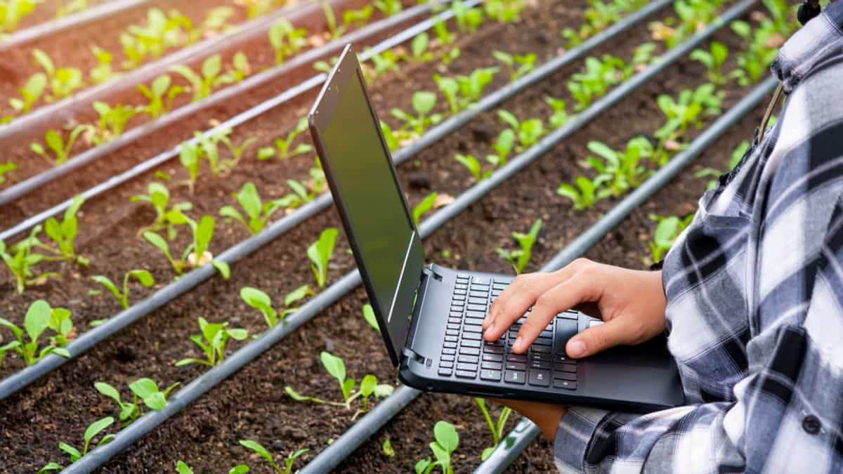 Unified Portal for Agricultural Statistics
