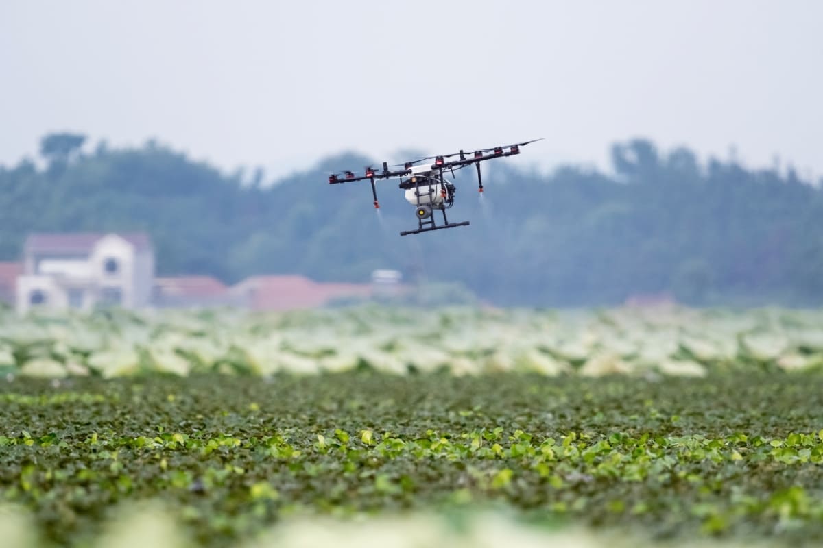 Agriculture Drone Spraying Fertilizer