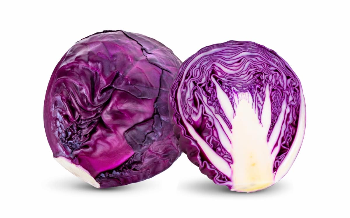 Red Cabbage 