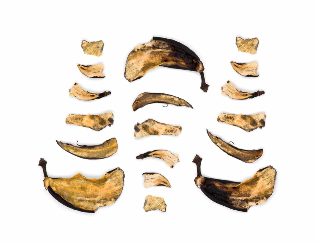 Decaying banana slices