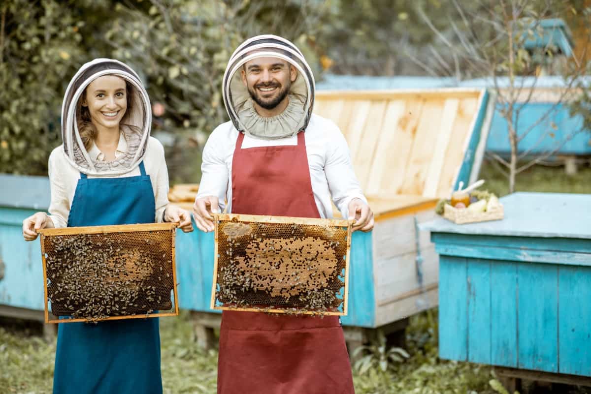 Beekepers with Honeycomb