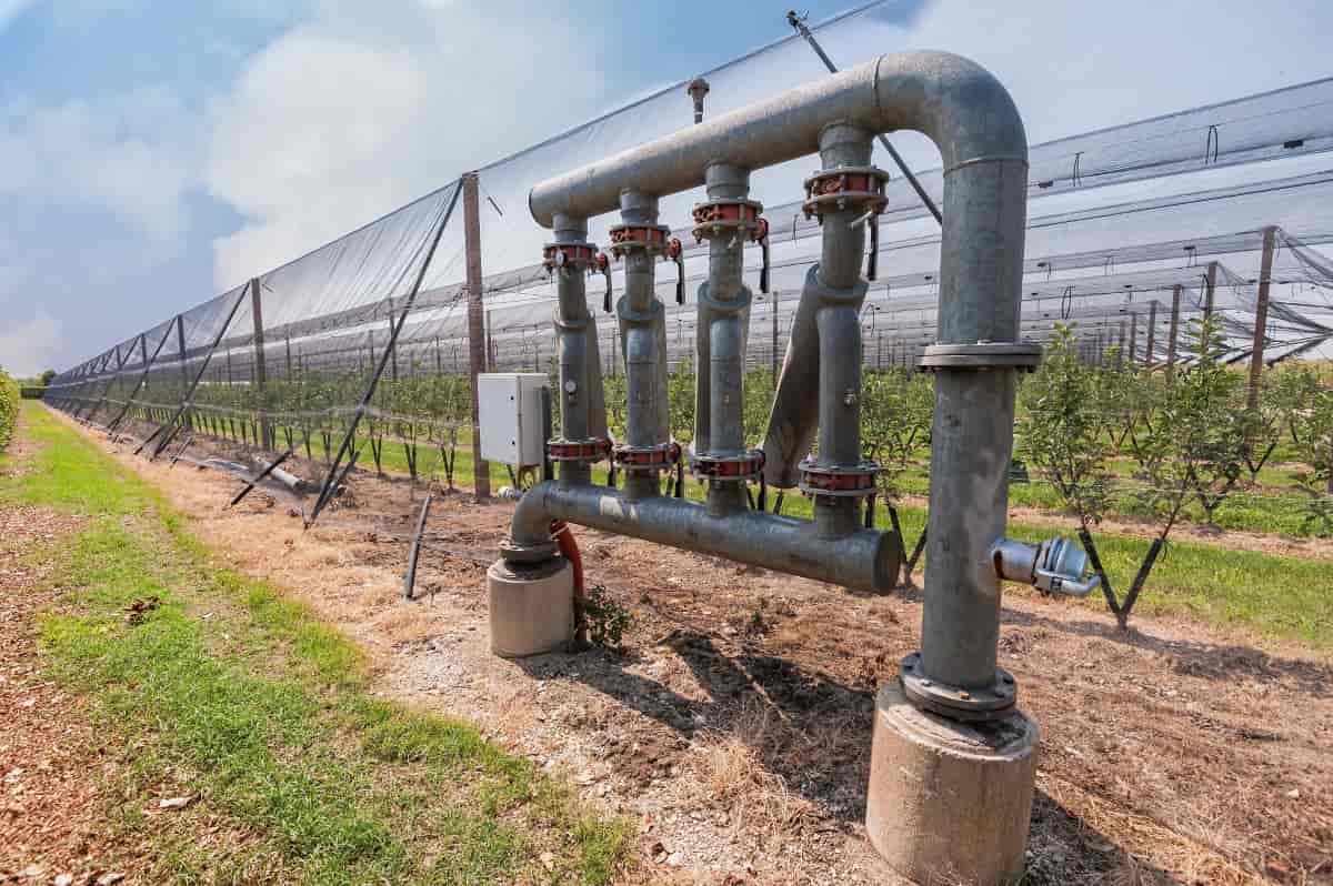 Drip Irrigation Cost Per Acre in Orange Plantation