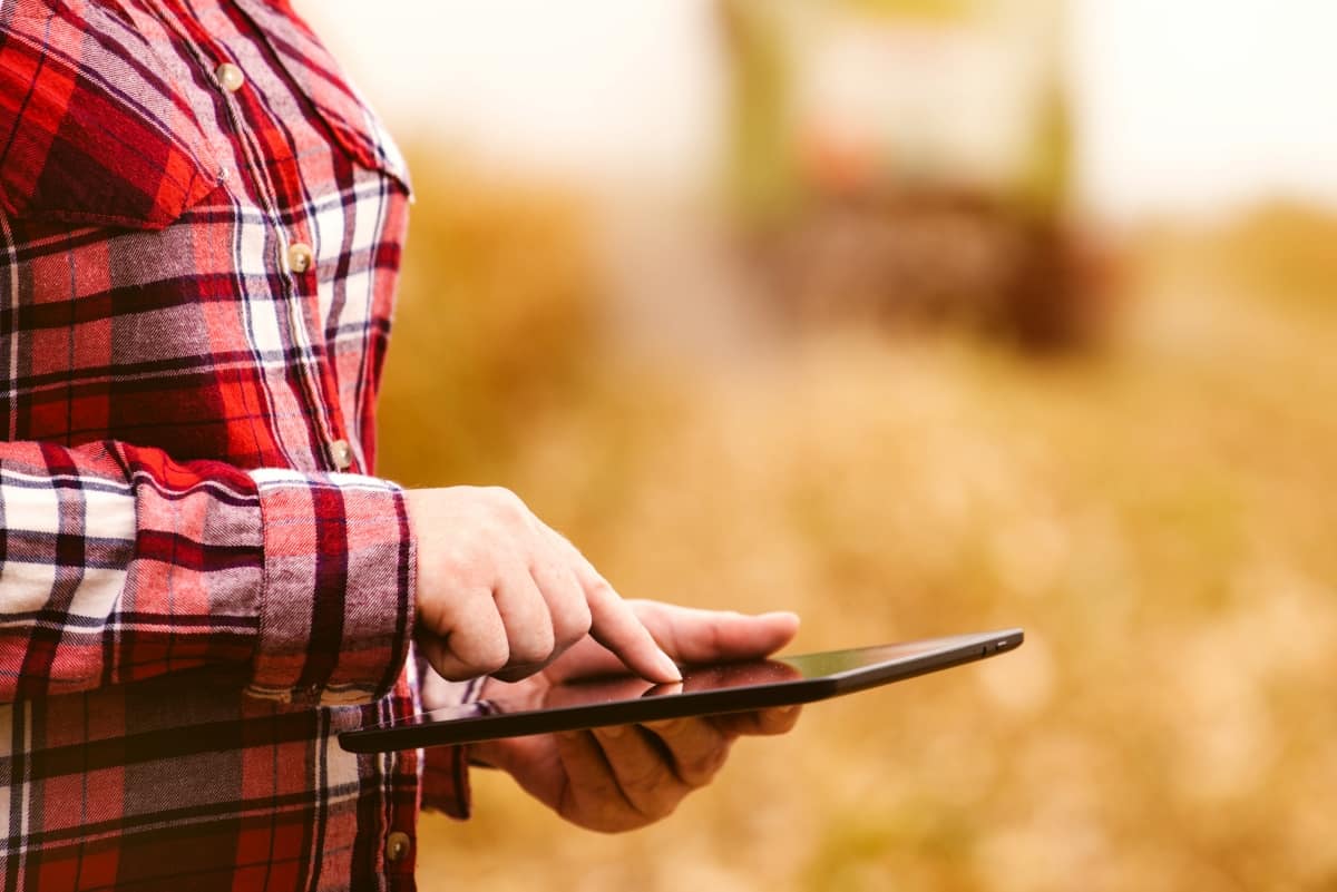 Agronomist Using Tablet Computer in Corn Field 