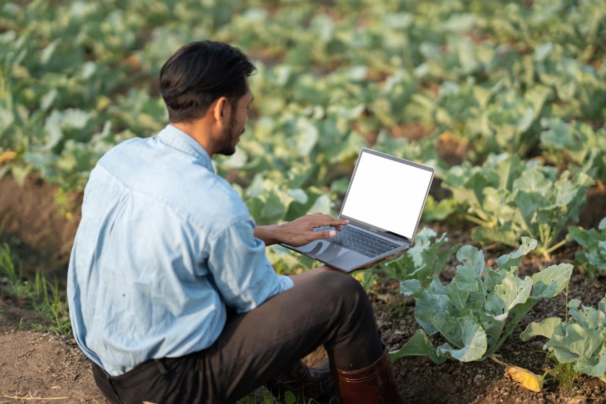 Farmer Working on His Laptop 