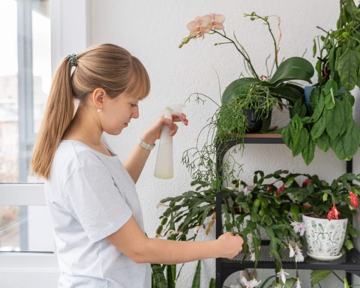 Watering Plants and Flowers