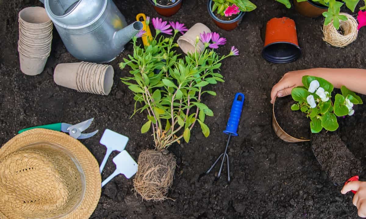 Planting in the garden using essential tools