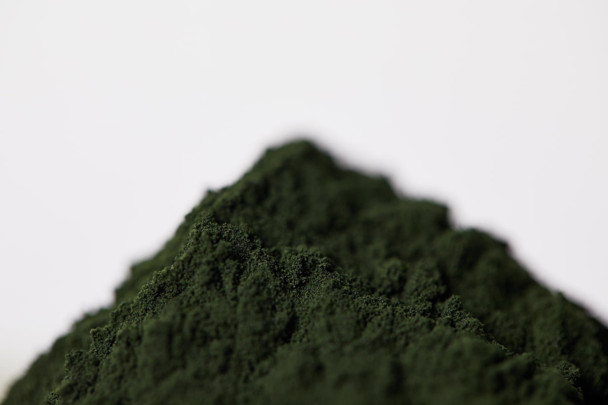 Spirulina Cultivation Requirements