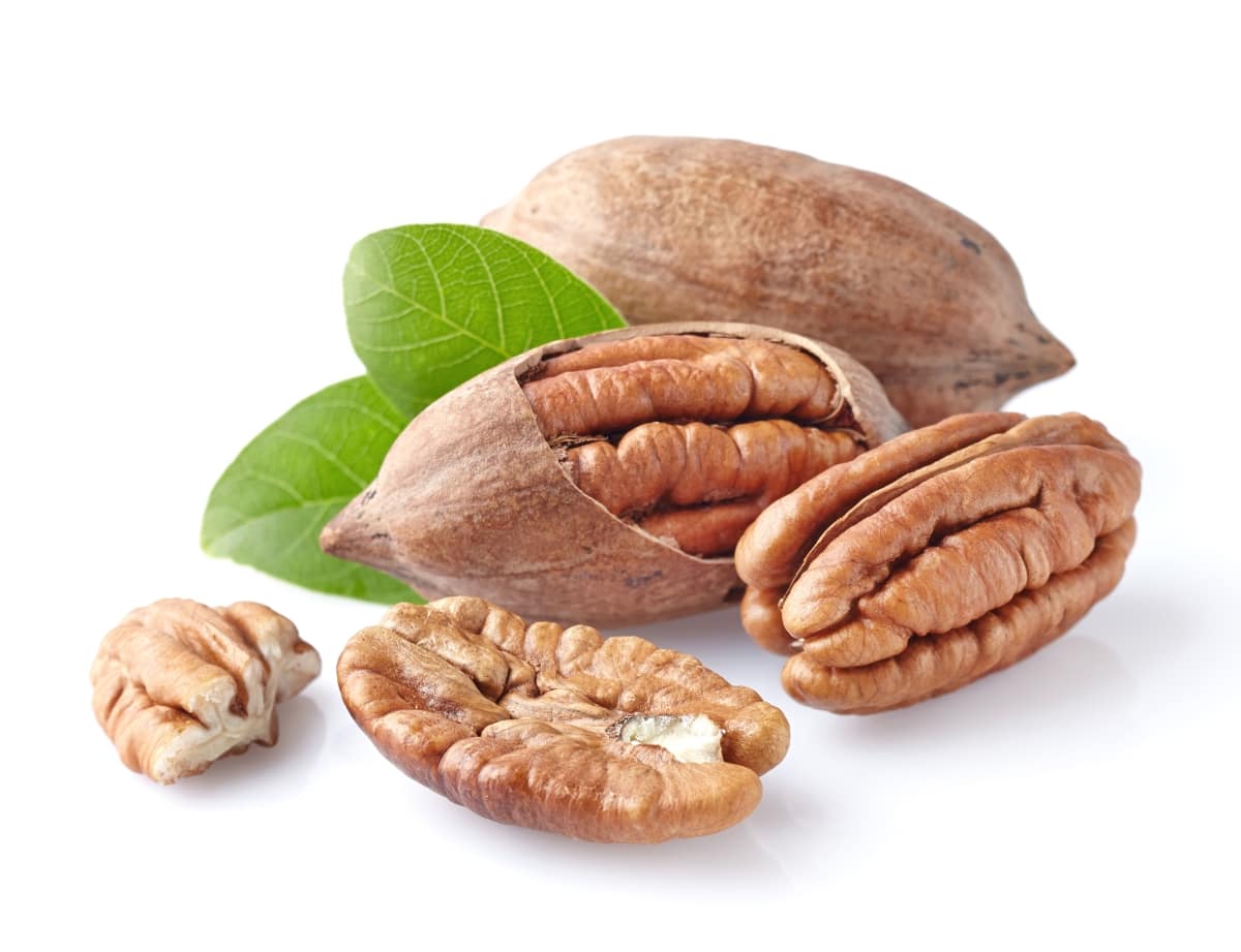 Pecan Nuts with Leaves
