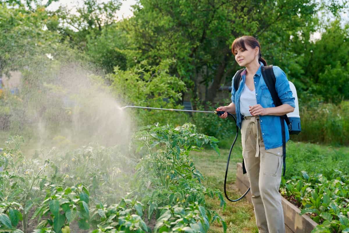 Using Sevin Dust on Vegetable Gardens
