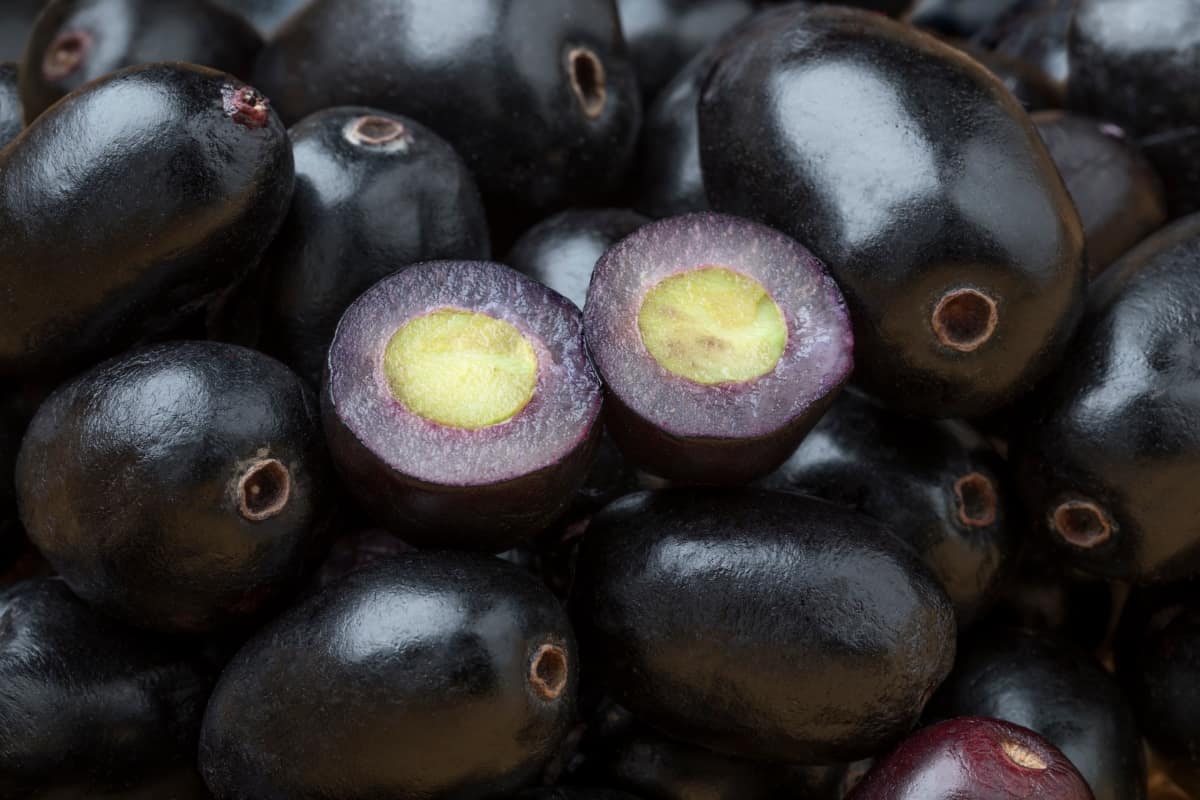 Black Jamun Berries 